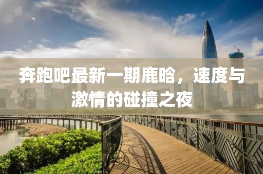 奔跑吧最新一期鹿晗，速度與激情的碰撞之夜