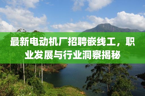 最新電動(dòng)機(jī)廠招聘嵌線工，職業(yè)發(fā)展與行業(yè)洞察揭秘