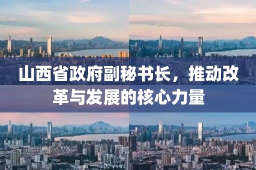 山西省政府副秘書長，推動(dòng)改革與發(fā)展的核心力量