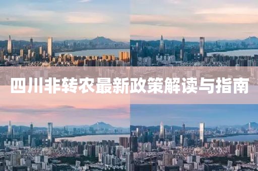 四川非轉(zhuǎn)農(nóng)最新政策解讀與指南
