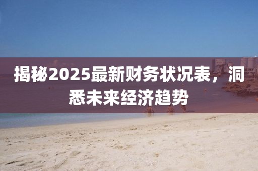 揭秘2025最新財務(wù)狀況表，洞悉未來經(jīng)濟趨勢