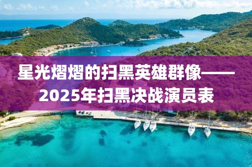 星光熠熠的掃黑英雄群像——2025年掃黑決戰(zhàn)演員表