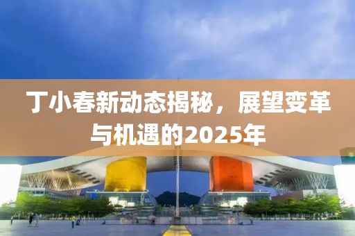 丁小春新動態(tài)揭秘，展望變革與機遇的2025年