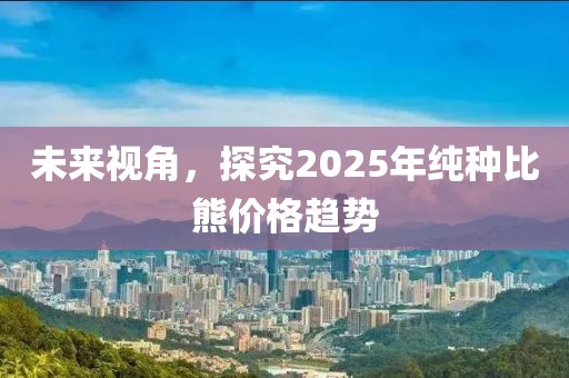未來(lái)視角，探究2025年純種比熊價(jià)格趨勢(shì)
