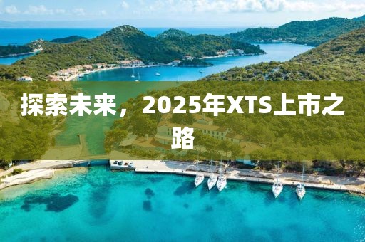 探索未來，2025年XTS上市之路