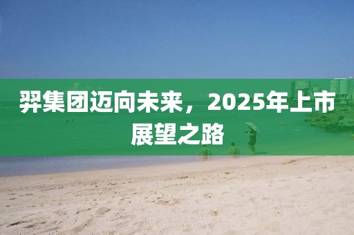 羿集團(tuán)邁向未來，2025年上市展望之路