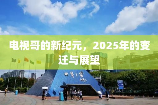 電視哥的新紀元，2025年的變遷與展望