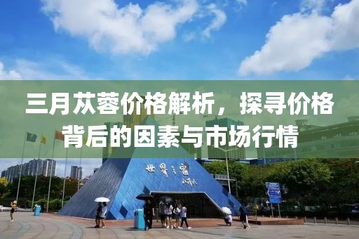 三月蓯蓉價格解析，探尋價格背后的因素與市場行情