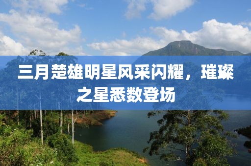 三月楚雄明星風(fēng)采閃耀，璀璨之星悉數(shù)登場(chǎng)