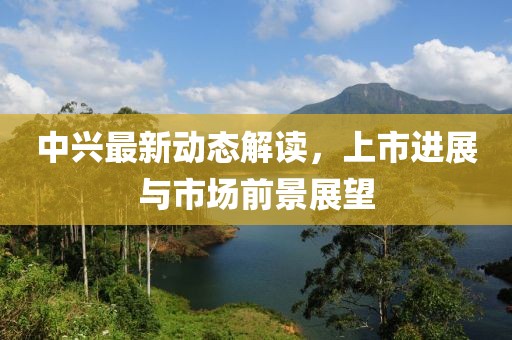 中興最新動態(tài)解讀，上市進展與市場前景展望