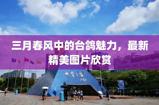 三月春風(fēng)中的臺(tái)鴿魅力，最新精美圖片欣賞