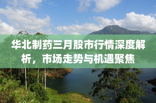華北制藥三月股市行情深度解析，市場走勢與機(jī)遇聚焦