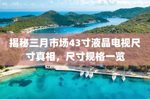 揭秘三月市場(chǎng)43寸液晶電視尺寸真相，尺寸規(guī)格一覽