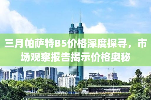 三月帕薩特B5價格深度探尋，市場觀察報告揭示價格奧秘