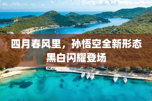 四月春風(fēng)里，孫悟空全新形態(tài)黑白閃耀登場