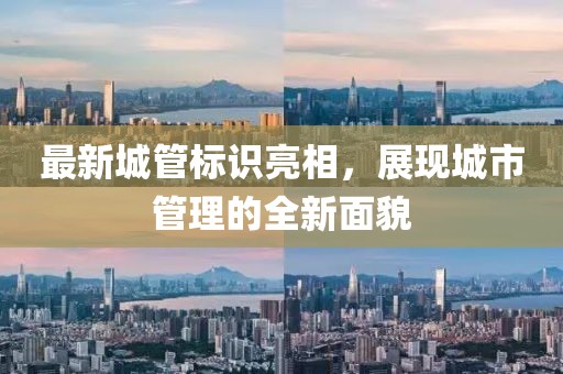最新城管標(biāo)識(shí)亮相，展現(xiàn)城市管理的全新面貌