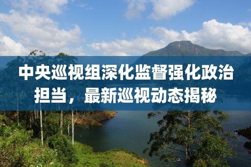 中央巡視組深化監(jiān)督強化政治擔當，最新巡視動態(tài)揭秘