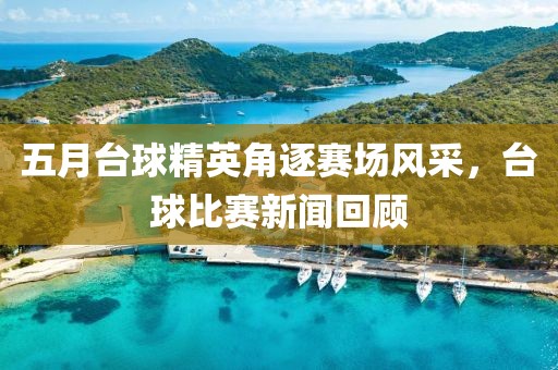 五月臺球精英角逐賽場風采，臺球比賽新聞回顧