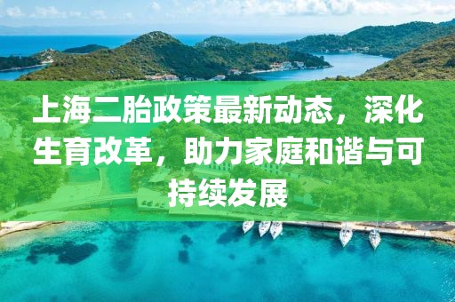 上海二胎政策最新動態(tài)，深化生育改革，助力家庭和諧與可持續(xù)發(fā)展