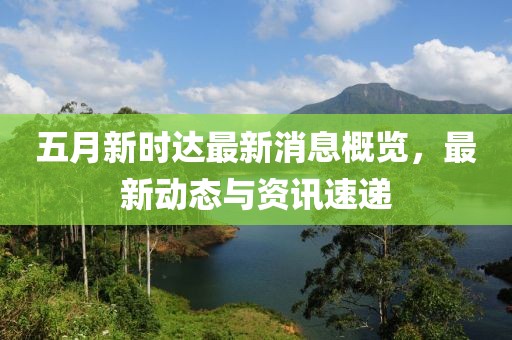 五月新時(shí)達(dá)最新消息概覽，最新動(dòng)態(tài)與資訊速遞