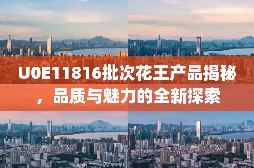 U0E11816批次花王產(chǎn)品揭秘，品質(zhì)與魅力的全新探索