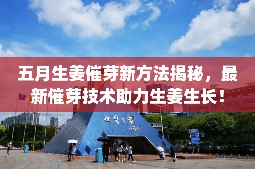 五月生姜催芽新方法揭秘，最新催芽技術(shù)助力生姜生長！