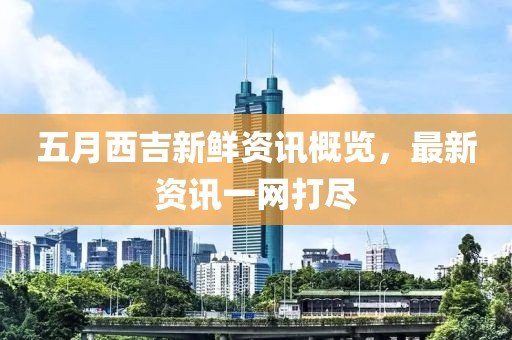 五月西吉新鮮資訊概覽，最新資訊一網(wǎng)打盡