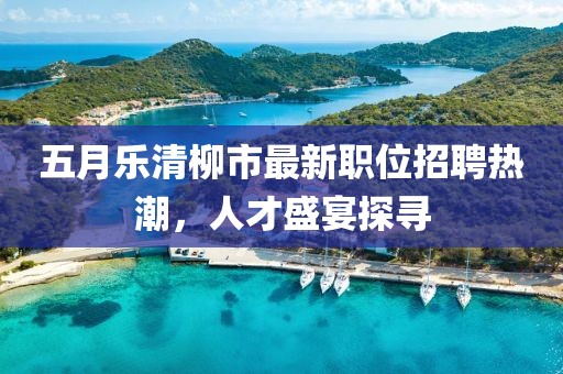 五月樂(lè)清柳市最新職位招聘熱潮，人才盛宴探尋