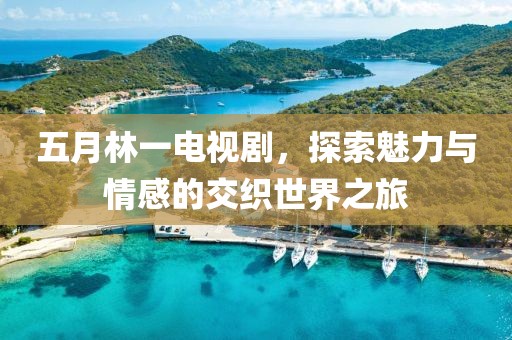五月林一電視劇，探索魅力與情感的交織世界之旅