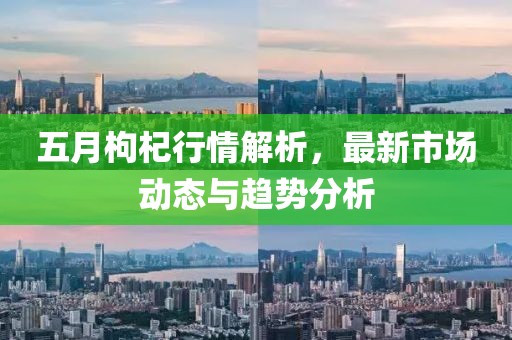 五月枸杞行情解析，最新市場動(dòng)態(tài)與趨勢分析