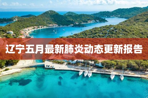 遼寧五月最新肺炎動態(tài)更新報告