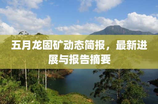 五月龍固礦動(dòng)態(tài)簡(jiǎn)報(bào)，最新進(jìn)展與報(bào)告摘要