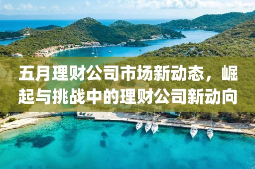 五月理財公司市場新動態(tài)，崛起與挑戰(zhàn)中的理財公司新動向