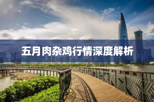 五月肉雜雞行情深度解析