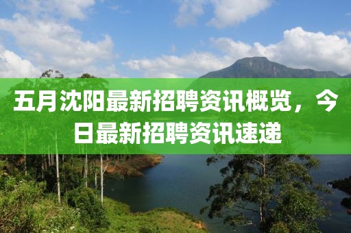 五月沈陽最新招聘資訊概覽，今日最新招聘資訊速遞