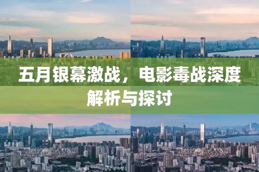 五月銀幕激戰(zhàn)，電影毒戰(zhàn)深度解析與探討