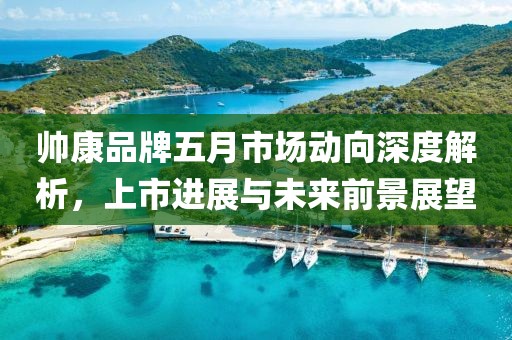 帥康品牌五月市場動向深度解析，上市進展與未來前景展望