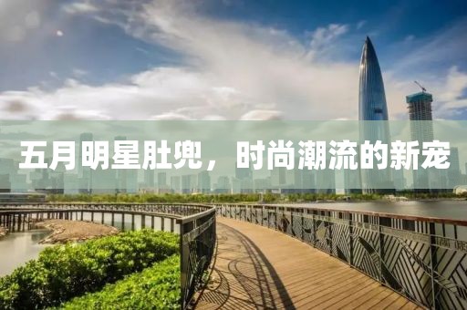 五月明星肚兜，時(shí)尚潮流的新寵