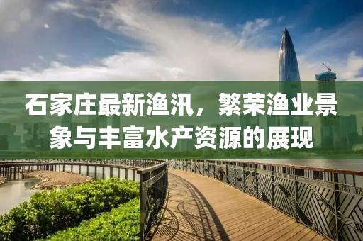 石家莊最新漁汛，繁榮漁業(yè)景象與豐富水產(chǎn)資源的展現(xiàn)