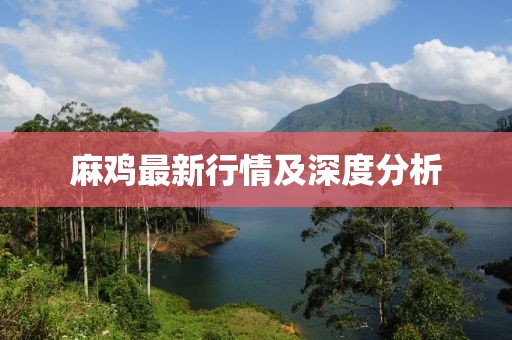 麻雞最新行情及深度分析