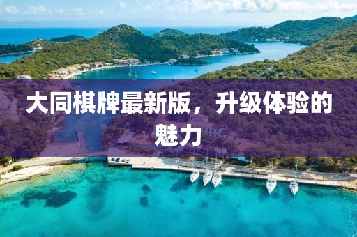 大同棋牌最新版，升級體驗的魅力