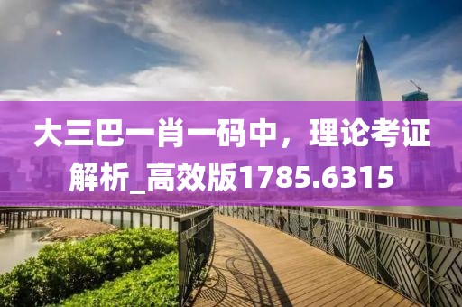 大三巴一肖一碼中，理論考證解析_高效版1785.6315