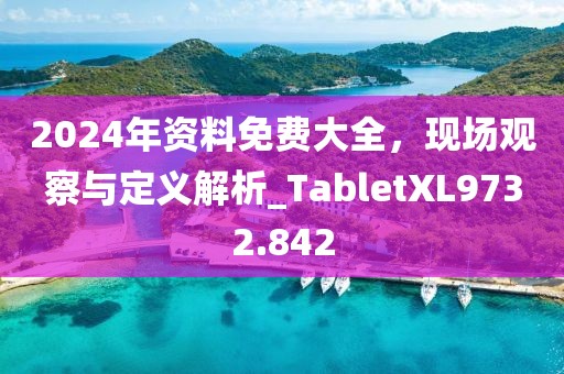 2024年資料免費(fèi)大全，現(xiàn)場(chǎng)觀察與定義解析_TabletXL9732.842
