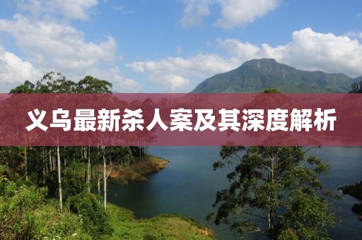 義烏最新殺人案及其深度解析