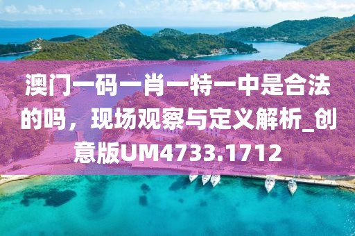 澳門一碼一肖一特一中是合法的嗎，現(xiàn)場觀察與定義解析_創(chuàng)意版UM4733.1712