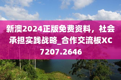 新澳2024正版免費資料，社會承擔實踐戰(zhàn)略_合作交流板XC7207.2646