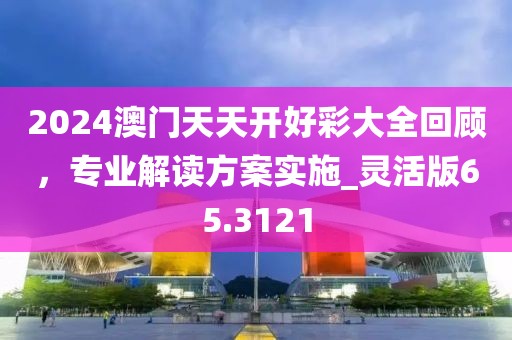 2024澳門天天開好彩大全回顧，專業(yè)解讀方案實(shí)施_靈活版65.3121