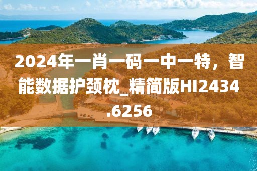 2024年一肖一碼一中一特，智能數(shù)據(jù)護頸枕_精簡版HI2434.6256