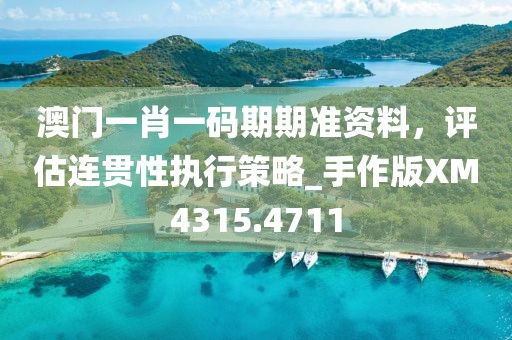 澳門一肖一碼期期準(zhǔn)資料，評(píng)估連貫性執(zhí)行策略_手作版XM4315.4711