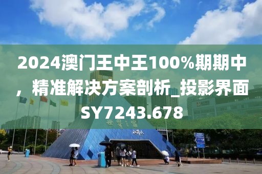 2024澳門王中王100%期期中，精準解決方案剖析_投影界面SY7243.678